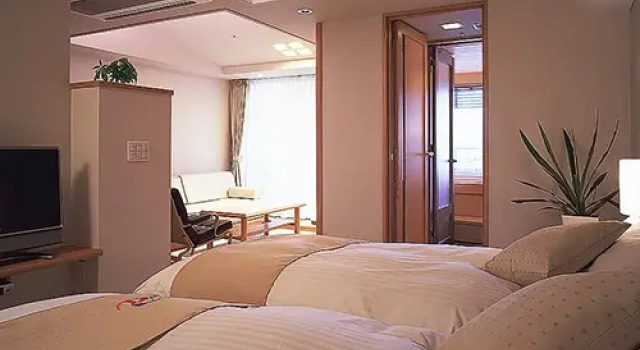 Двухместный номер Standard Hotel Plaza Annex Yokote