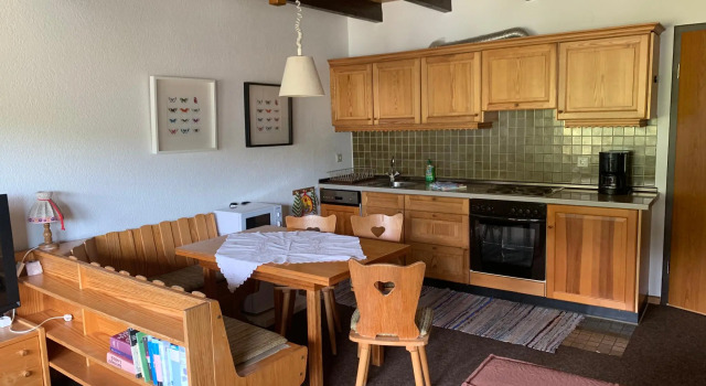 Haus am Sonnenberg Todtnauberg, Fewo 305