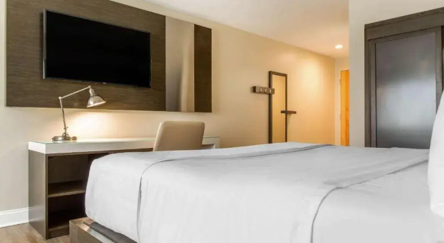 Номер Standard Wyndham Newport Hotel