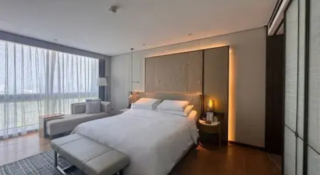 Люкс Primus Hotel Nanchang International Expo City