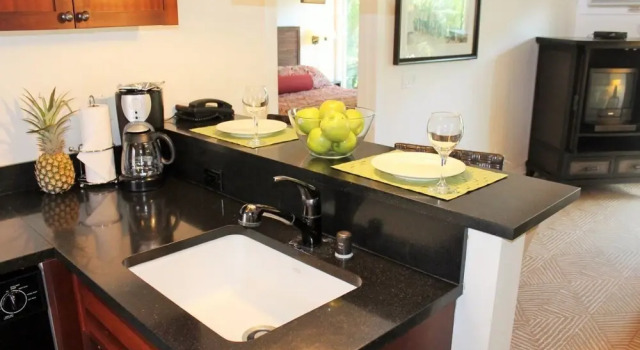 Lahaina Condo I205 - 1 Br Condo