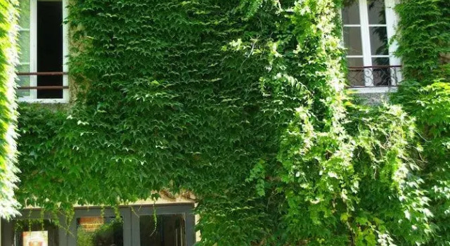 Hôtel des Voyageurs, Rezerwuj Hotel Chef-Boutonne Poitou-Charentes