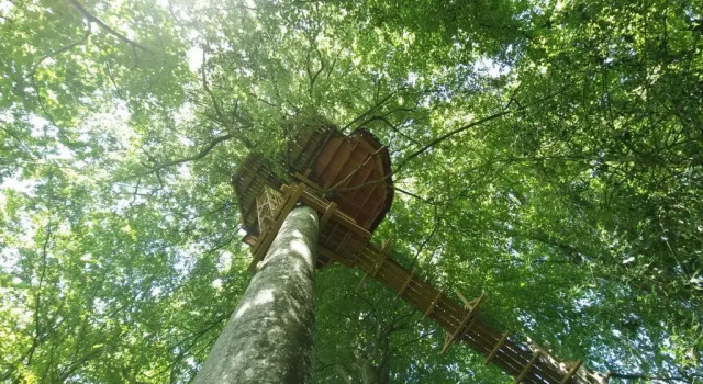 Шале Superior Le Domaine de Wail Legends Resort