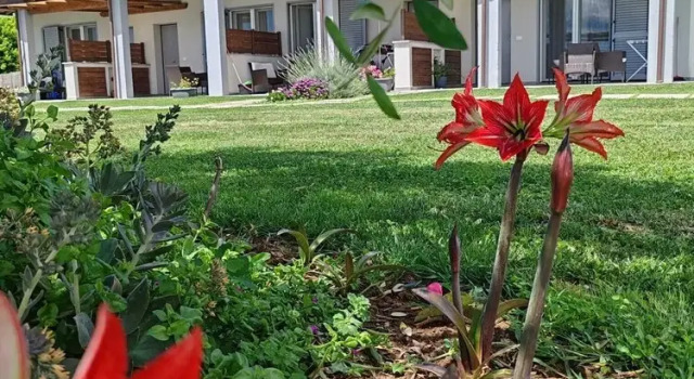 Апартаменты Comfort с 2 комнатами с видом на бассейн Residence la Pace - Pool & Relax