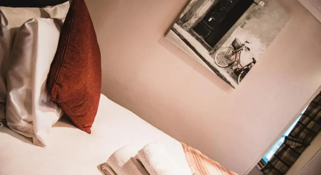 Одноместный номер Standard OYO The Red Lion Hotel