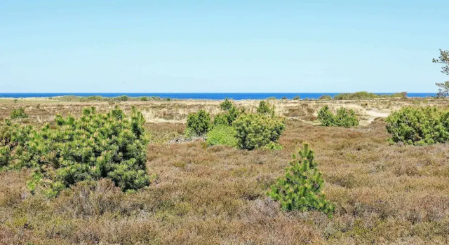 Secluded Holiday Home in Nordjylland Near the Sea, Book Vacation Home Villas in Laeso Island, Villa