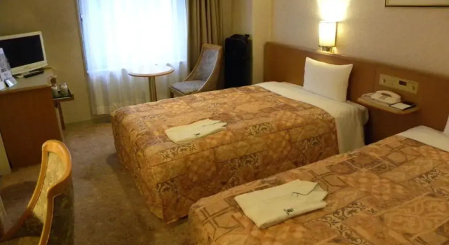 Двухместный номер Standard Hotel New Green Okachimachi