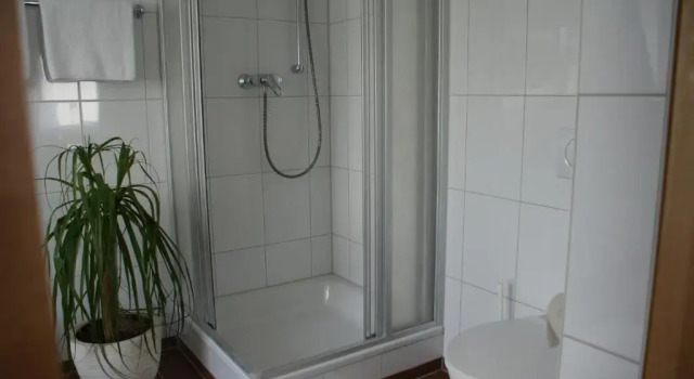 Двухместный номер Standard Gästehaus Brugger