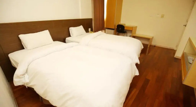 Двухместный номер Economy Tai Shinu Hotel