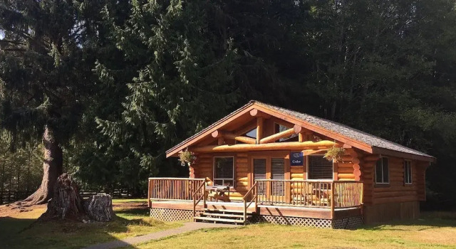 Номер Luxury Sointula Lodge
