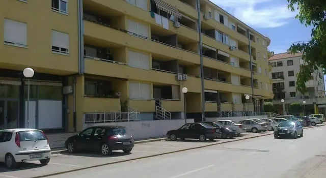 Apartment Svejk