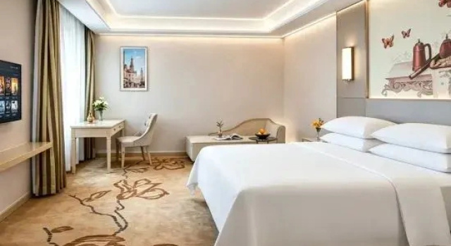Люкс Deluxe Vienna Hotel (Huizhou High-speed ​​Railway North Station Xiaojinkou)