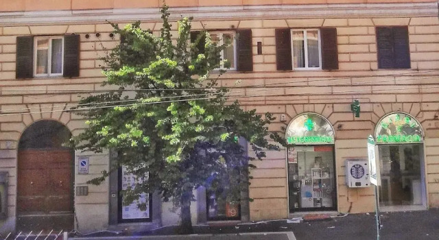 Domus Conte, Prenota Hotel Roma Lazio