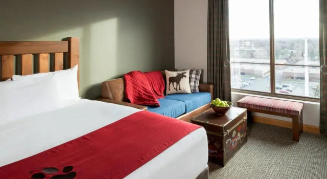 Двухместный люкс Отель Great Wolf Lodge Bloomington