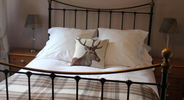 Двухместный номер Standard Heatherbank Guest House