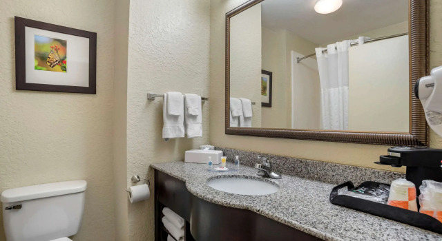 Двухместный номер Standard Comfort Inn & Suites Marianna I-10