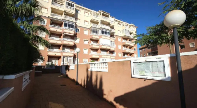 Apartment in La Mata Eneas 6