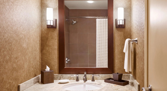 Двухместный номер Deluxe Hyatt Regency Bellevue