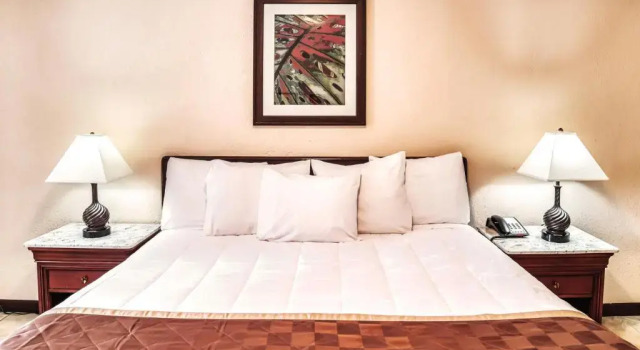 Номер Standard Palms Garden Inn
