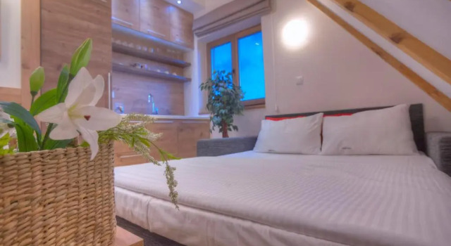 Студия Villa Natural Wood