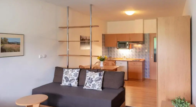 Апартаменты Apartmány Engadin