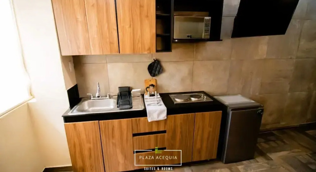 Люкс A21 Full Suite MiniDept at Plaza Acequia