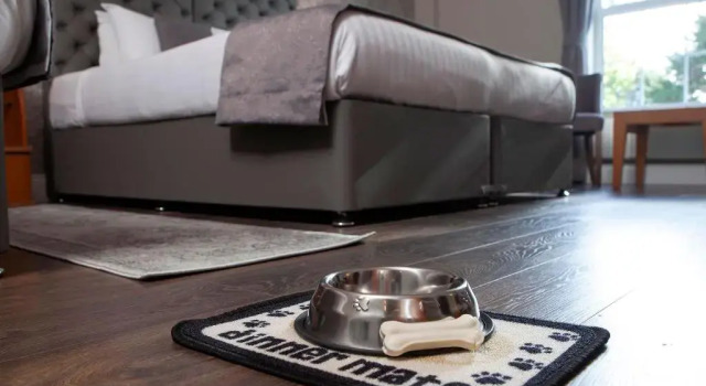 Номер Premier Elfordleigh Hotel