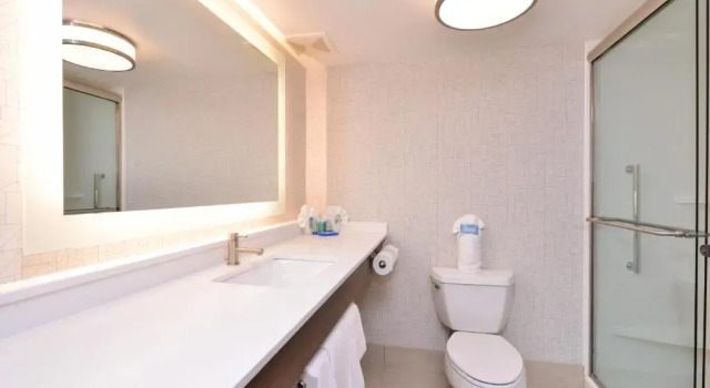 Двухместный номер Executive Holiday Inn Express & Suites Indianapolis Dtn-Conv Ctr Area by IHG