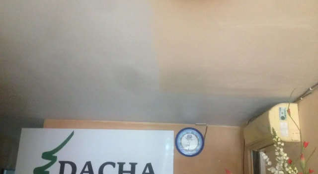 Hotel Dacha