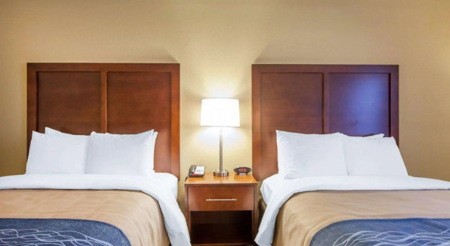 Четырёхместный номер Standard Comfort Inn at Royal Blue