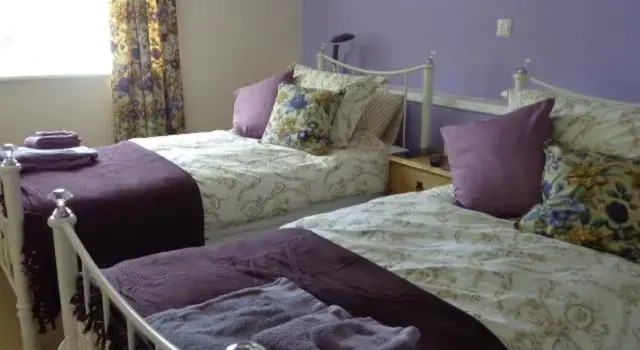 Двухместный номер Deluxe Lodge House B&B