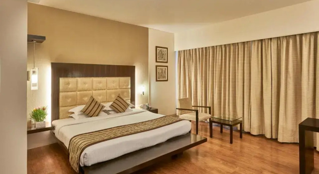 Двухместный номер Executive Krishna Palace Hotel