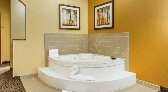 Двухместный номер Standard Comfort Suites Ramsey
