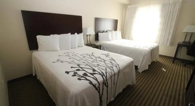 Четырёхместный номер Standard Bowman Inn and Suites