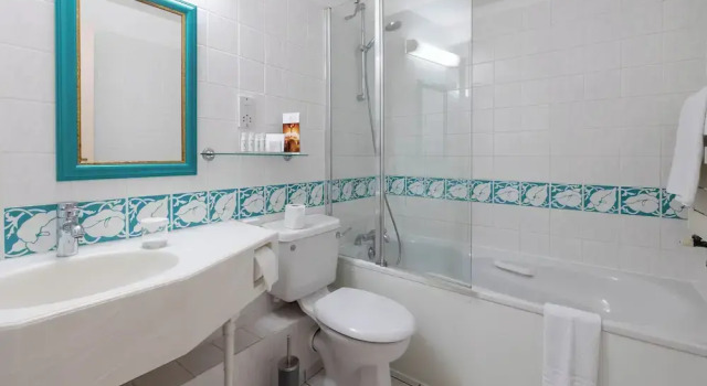 Одноместный номер Classic Hotel de France
