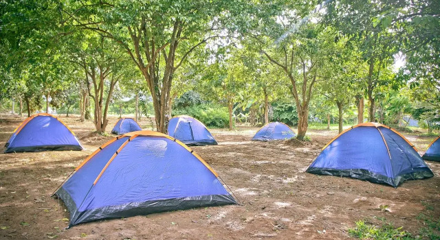 Alicoco Motel & Camping