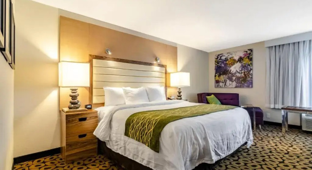 Номер Superior Comfort Inn Raleigh Midtown