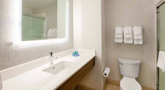 Двухместный люкс Holiday Inn Express® Windsor Sonoma Wine Country by IHG