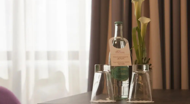 Двухместный полулюкс Vital Hotel Rhein Main Therme Wellness Resort & SPA