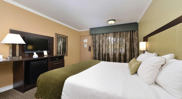 Двухместный номер Standard Royal Sun Hotel & Suites