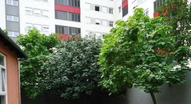 Party Hostel
