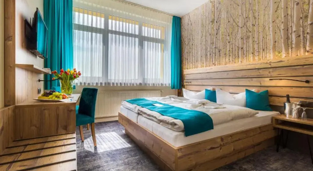 Двухместный номер Standard Panorama Ferien Hotel Harz