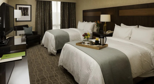 Люкс Accessible DoubleTree by Hilton Pittsburgh-Green Tree