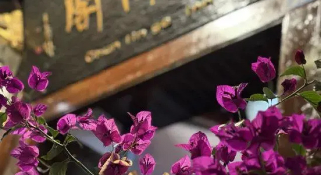 Chun Lin Inn, Забронировать Отель Лицзян Юньнань, рядом с Улица Сквер-стрит Древнего города Даянь