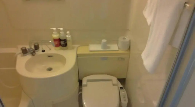 Одноместный номер Standard Hotel Tsukuba Hills Umezono