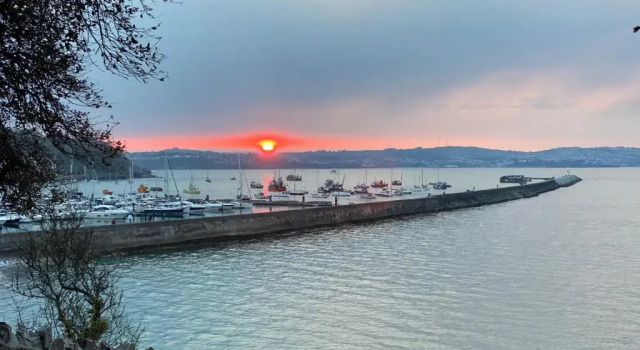 LOBSTER POT APARTMENT with stunning harbour and sea views and free parking for one car & pet friendly