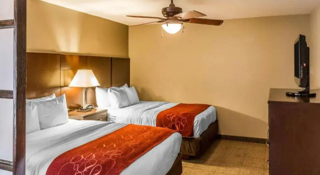 Vierer Suite Comfort Suites