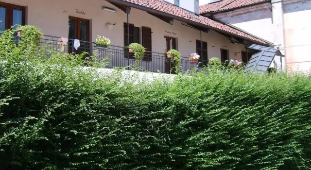 Oryza B&B-Ristorante, Book Bed and Breakfast Desana Piedmont