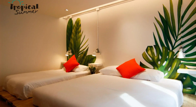 Номер Standard Tropical Summer Hostel