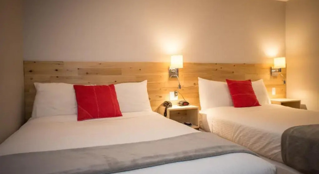 Номер Standard Motel Colonial